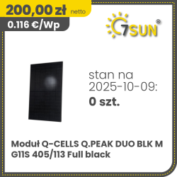 Q-Cells Q.PEAK DUO BLK M G11S 405/113 Full black